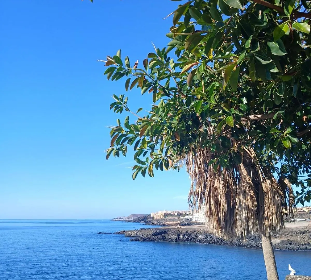 Homestay Surf Harbour Apartment Los Abrigos Spain